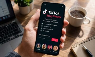 TikTok Story Viewer
