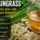 Lyposingrass
