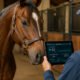 ns horse screen