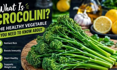 Crocolini