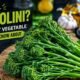 Crocolini