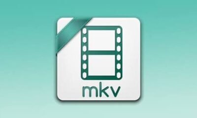 What Can Play an MKV File