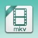 What Can Play an MKV File