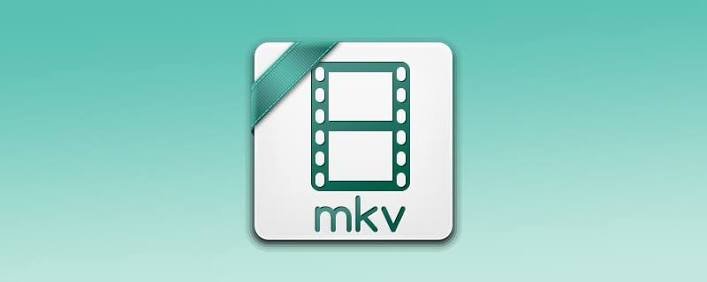What Can Play an MKV File