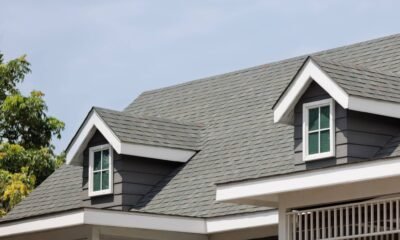 Beyond the Shingles