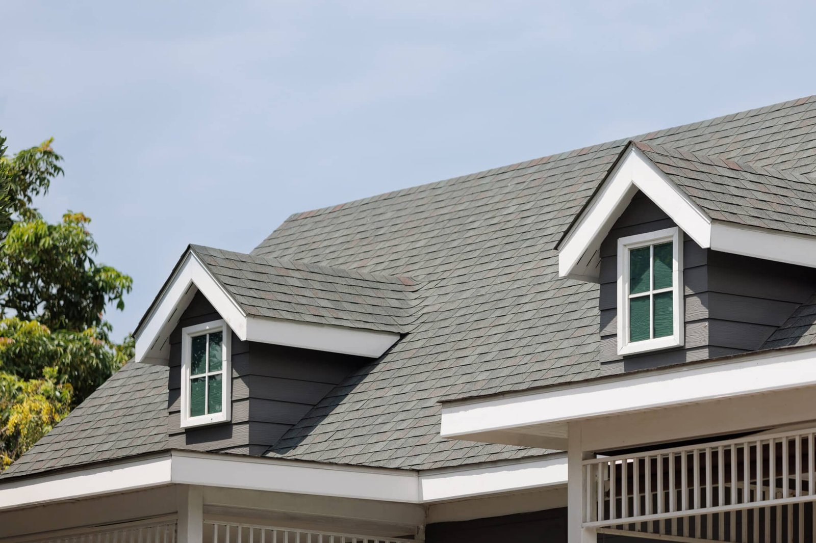 Beyond the Shingles