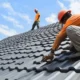 Roof Starts Talking