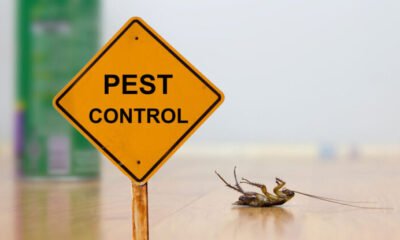 Pest Control