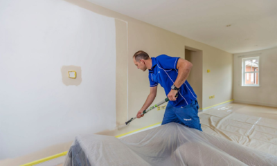 Interior House Painters