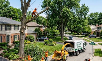 Tree Service
