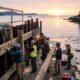 Bulkhead Repairs